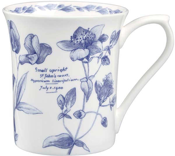 Mug Hypericum